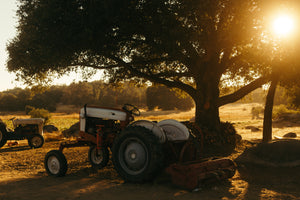 Questions to consider for Tractor Restoration